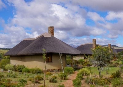 Amathunzi-Game-Lodge-6